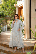 Light Gray Suit