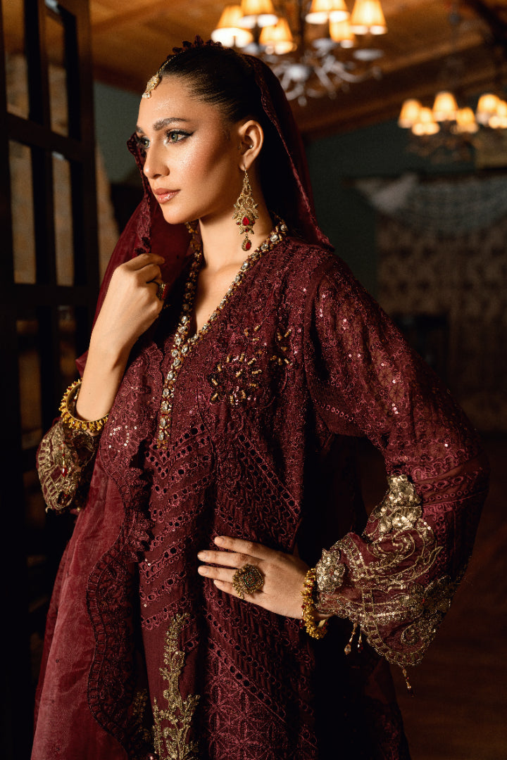 Maroon Suit